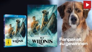 Ruf der Wildnis Film 2020 Gewinnspiel gewinnen Artikelbild shop kaufen