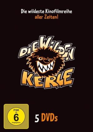 Die wilden Kerle 1-5 - Sammelbox  [5 DVDs]