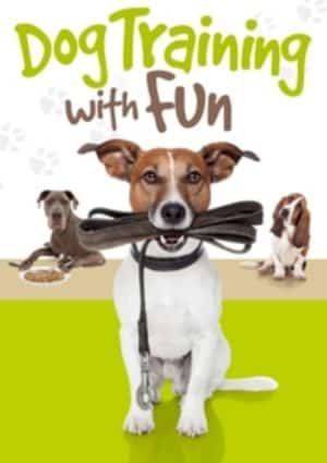 Dog Training With Fun