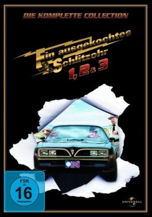 Ein ausgekochtes Schlitzohr - Box  [2 DVDs]