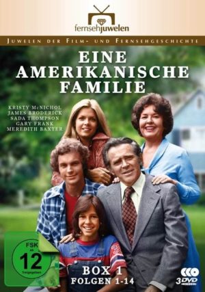 Eine amerikanische Familie - Box 1/Folgen 1-14  [4 DVDs]