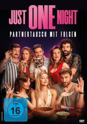 Just One Night - Partnertausch mit Folgen