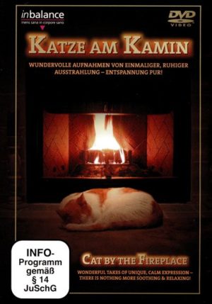 Katze am Kamin