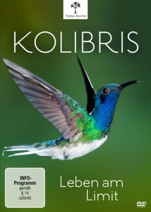 Kolibris - Leben am Limit