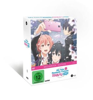 My Teen Romantic Comedy SNAFU Climax! Vol.1