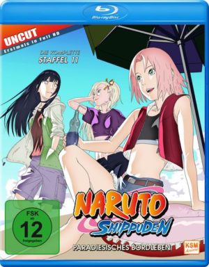 Naruto Shippuden - Box 11