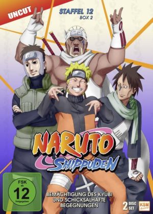 Naruto Shippuden - Box 12.2