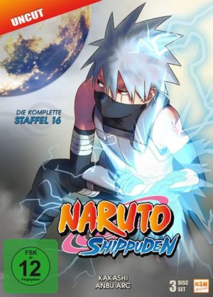 Naruto Shippuden - Box 16