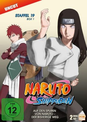 Naruto Shippuden - Box 19.1