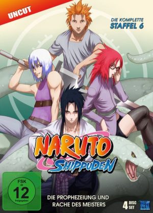 Naruto Shippuden - Box 6