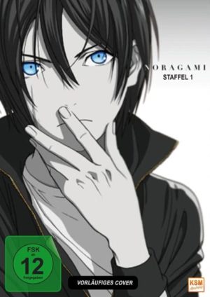 Noragami - Gesamtedition Staffel 1: Episode 01-12  [2 DVDs]