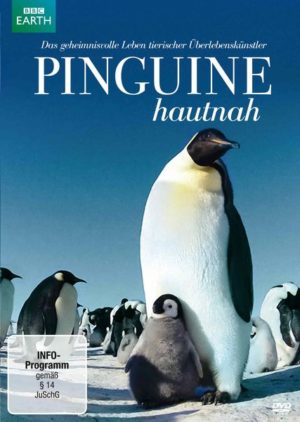 Pinguine Hautnah