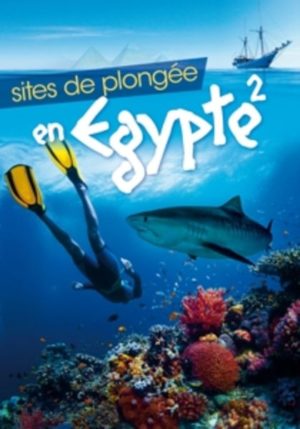 Sites de plongee en Egypte 2